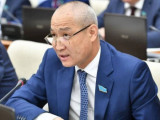Ішкі саясатқа сыртқы күштерді  араластырмау керек - депутат