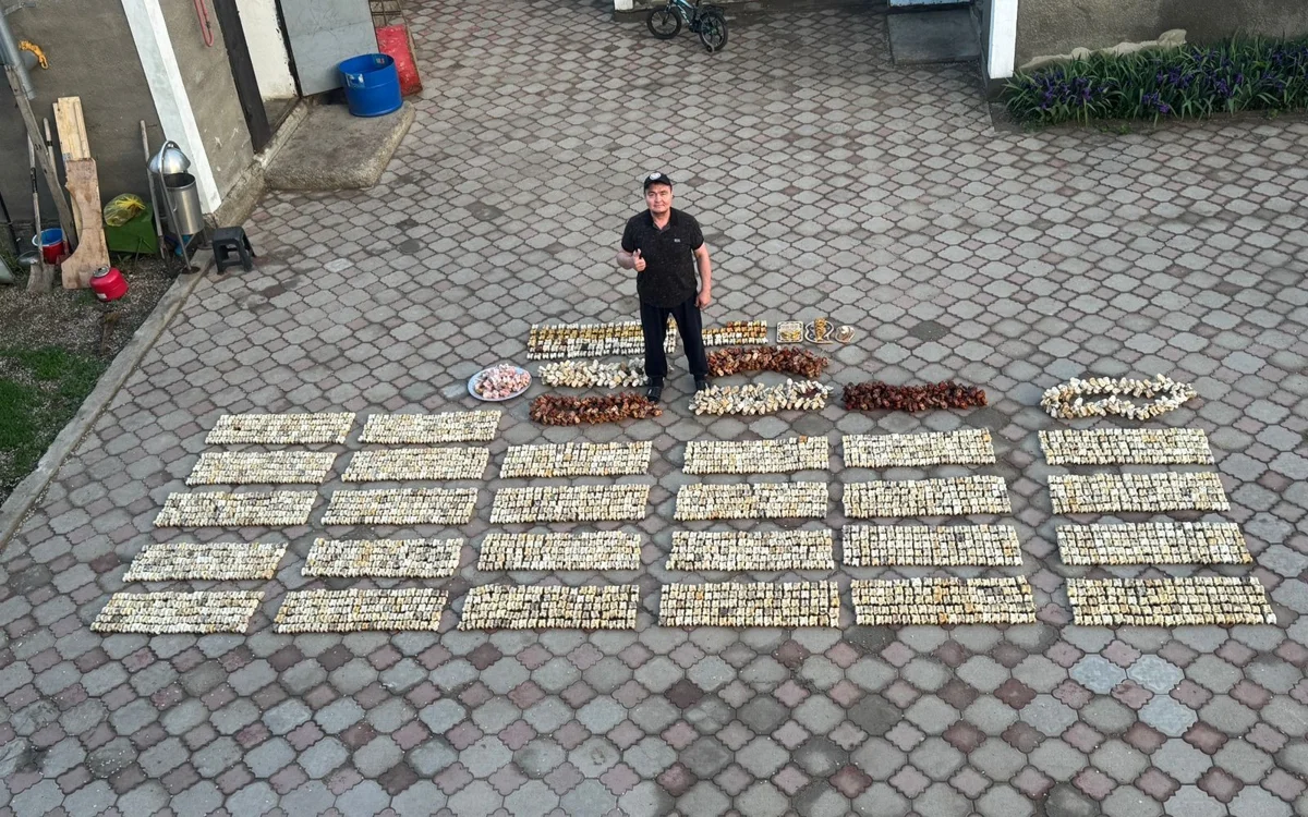 3 мыңнан астам топай асық жинаған ақтөбелік Қазақстан рекордттар кітабына енді
