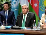 Президент Түркі мемлекеттері ұйымының бейресми саммитіне қатысты