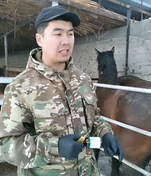 аа