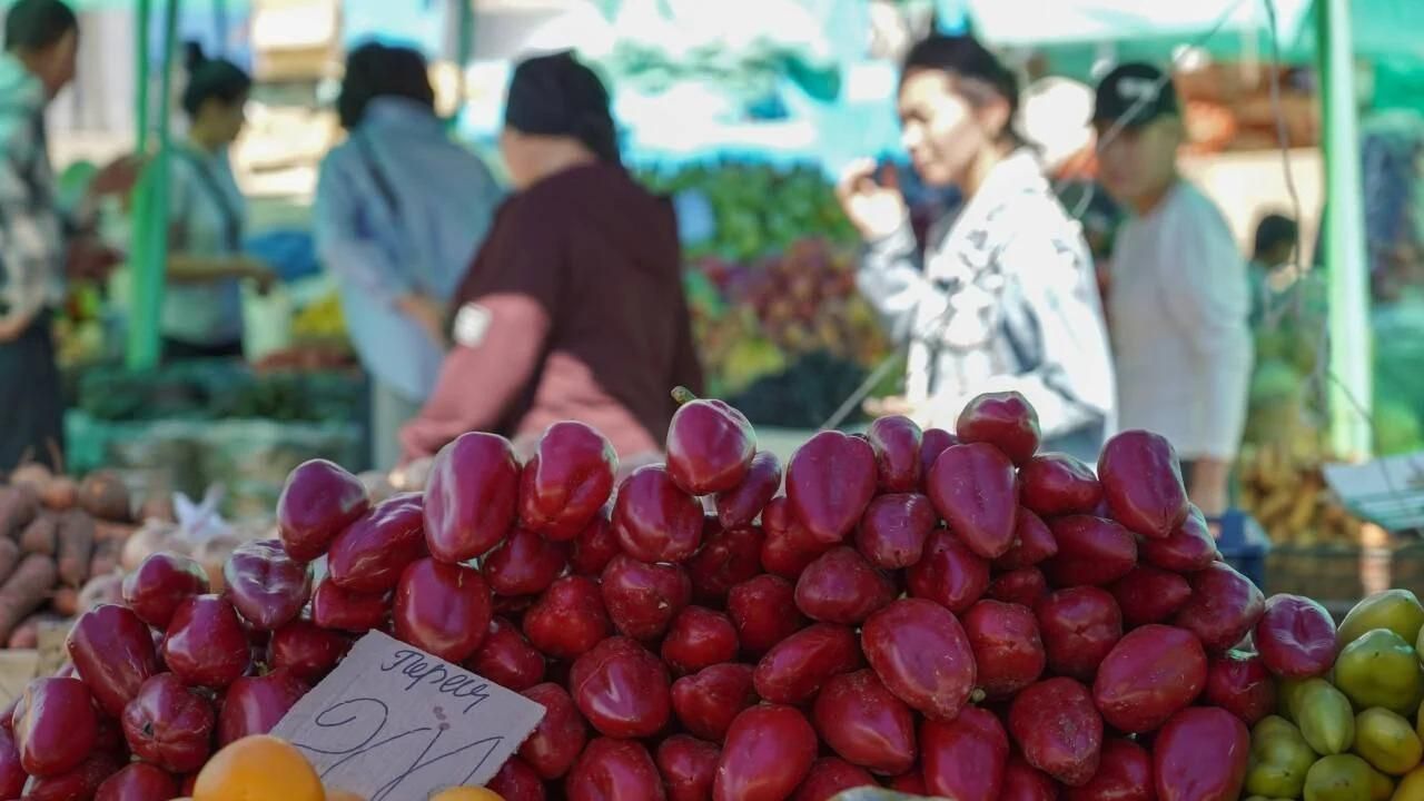 Елордада ауыл шаруашылығы жәрмеңкесі өтеді