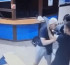 «Торпедо» хоккей клубының ойыншысы үйқамаққа алынды