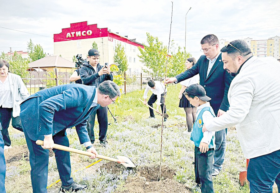 Ақжайықта 238,2 мың көшет егіледі