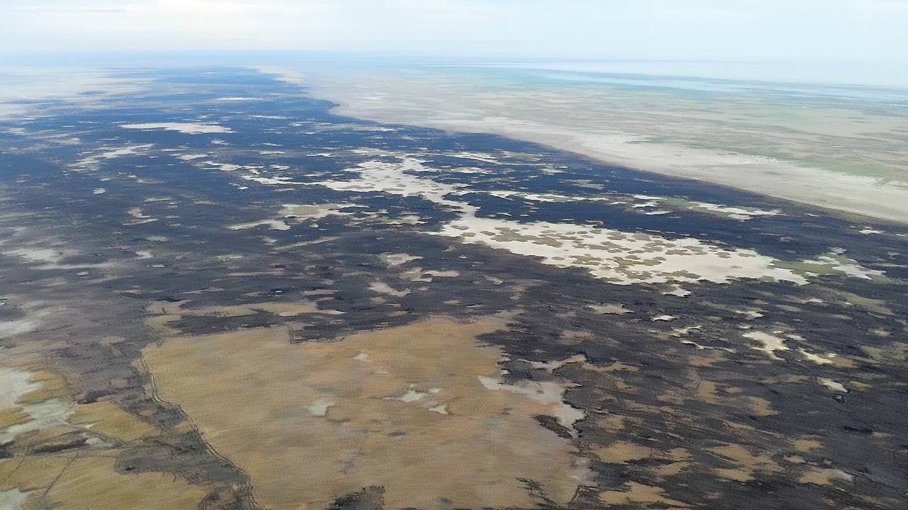 Атыраудағы қамыс өрті 11 күннен кейін сөндірілді