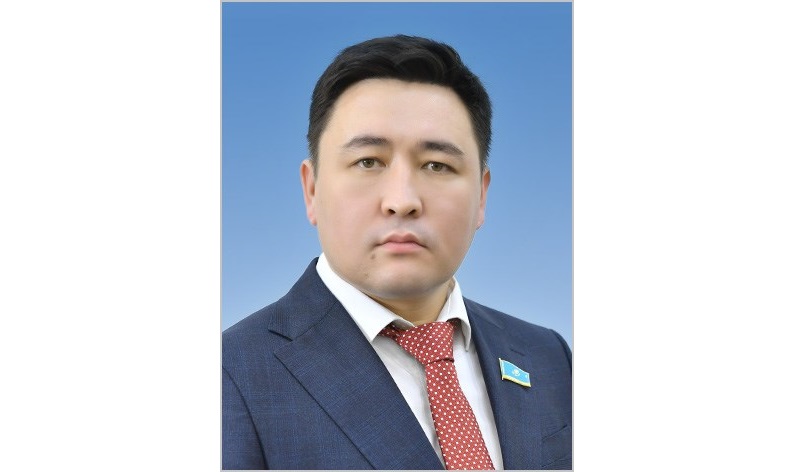 РОП жұмысын жүйелендіру әлі күнге шешілмеді-депутат