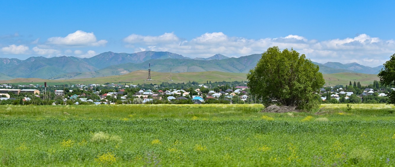 Ауылды өркендететін ауқымды жоба