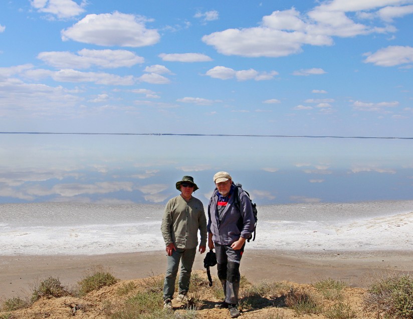 Көпжылдық өсімдіктің жаңа түрі