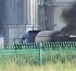 «Тайынша-Май» зауытында газ жарылып, 9 адам зардап шекті