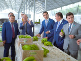 Депутаттар Түркістан облысының шаруаларымен жүздесті