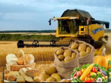 Қазақстанда тамақ өнімдерінің өндірісі артты