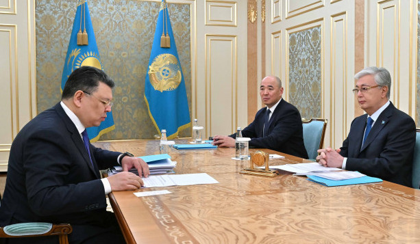Мемлекет басшысы Премьер-министрдің орынбасарын қабылдады