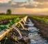 Елімізде суару маусымы қалай өтіп жатыр