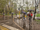 Бүгін еліміздің басым бөлігінде жаңбыр жауады