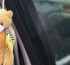 Елімізде жыл басынан бері 176 бала жол апатынан көз жұмды