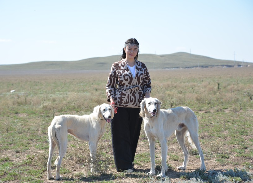 Тазылар сайысы