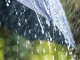 Бүгін елдің басым бөлігінде жаңбыр жауады