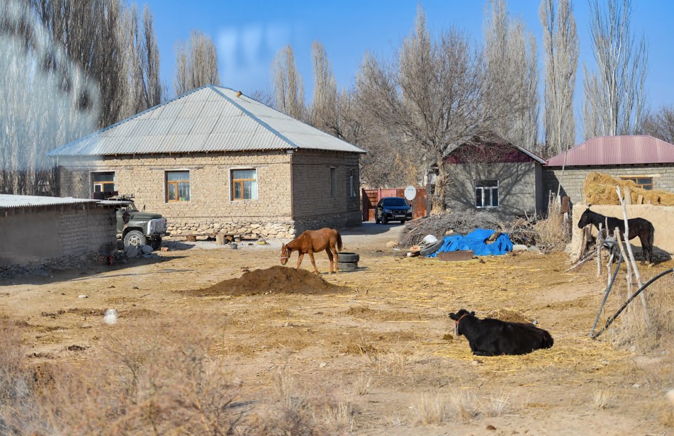 Ескі үй
