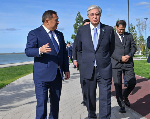 Президентке «Көк шалғын» жобасы таныстырылды