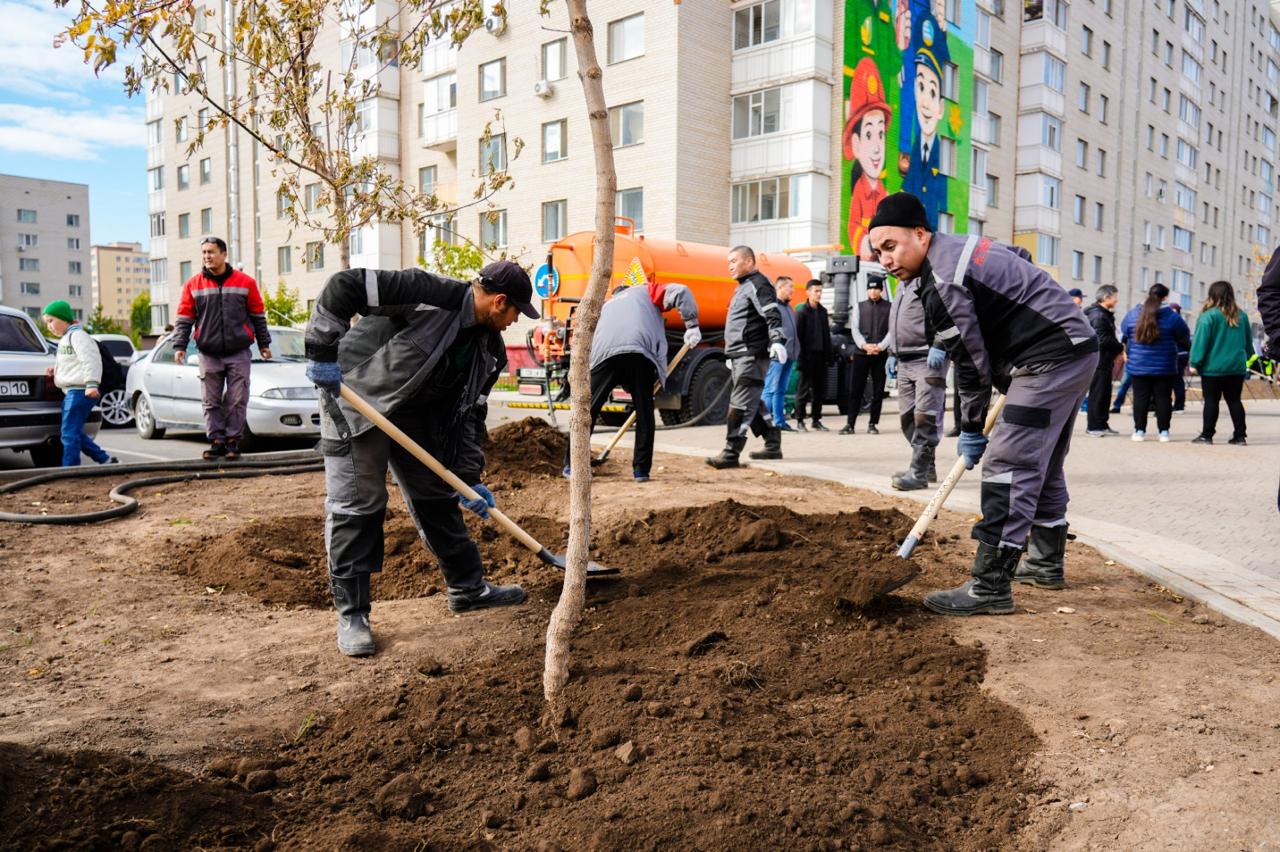 св
