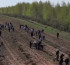 Өңірлерде күзгі ағаш отырғызу жұмыстары басталды