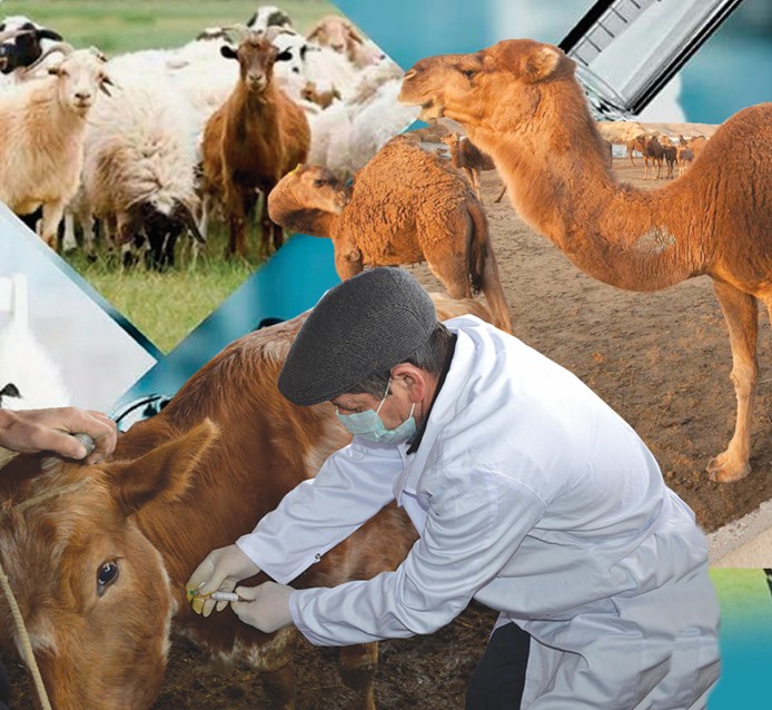 Мал дәрігеріне де мәртебе керек