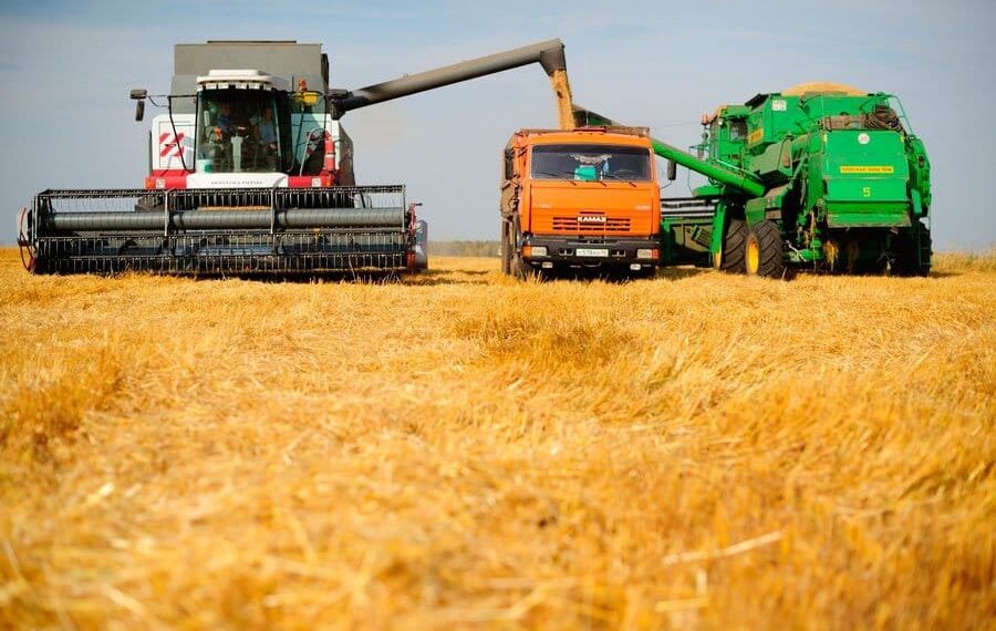 Егін жинау науқаны аяқталуға жақын