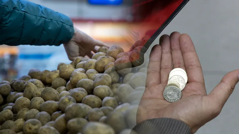 Картоп тапшылығы: Баға тағы да қыспаққа ала ма?