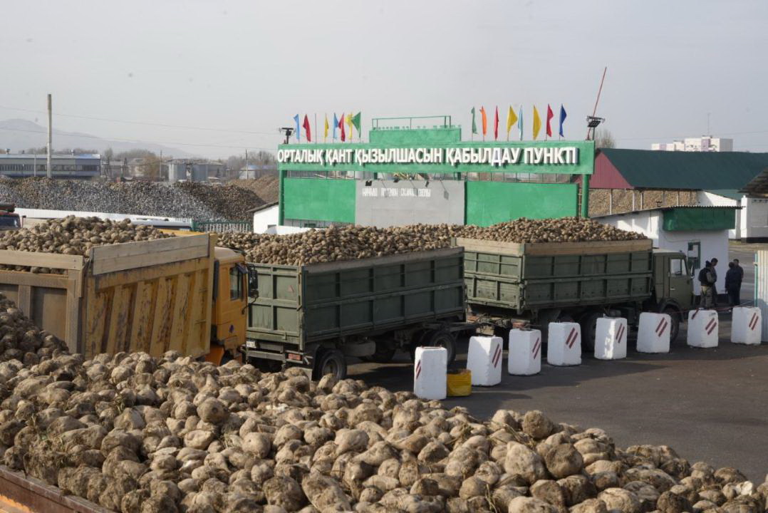 Аймақтың агроиндустриялық тірегі