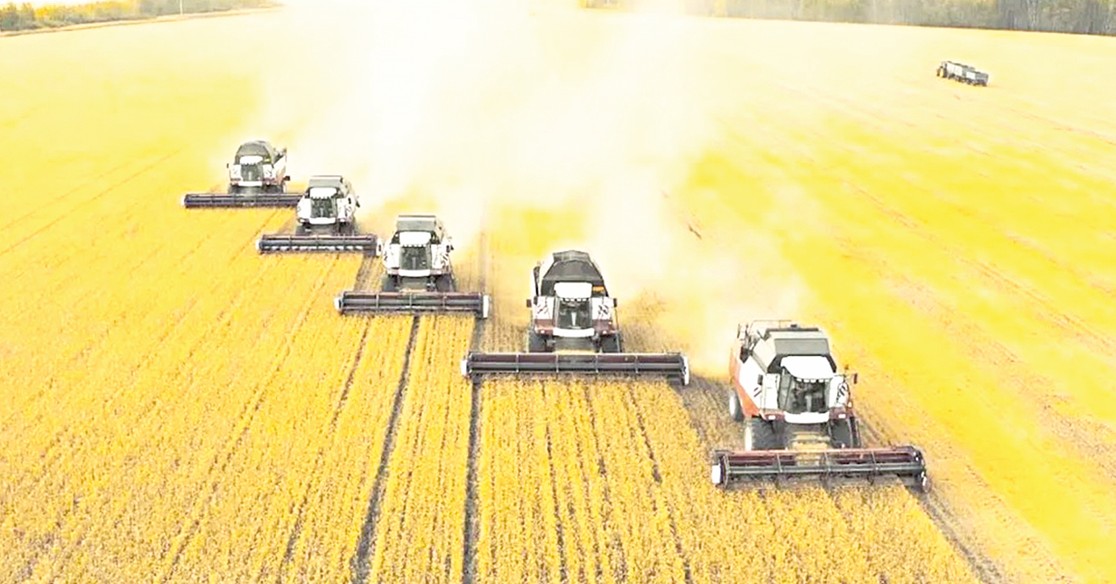 Астық молайып, көңіл тоғайды