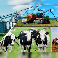 Қасым-Жомарт Тоқаев: Мал шаруашылығының әлеуетін барынша пайдалану қажет