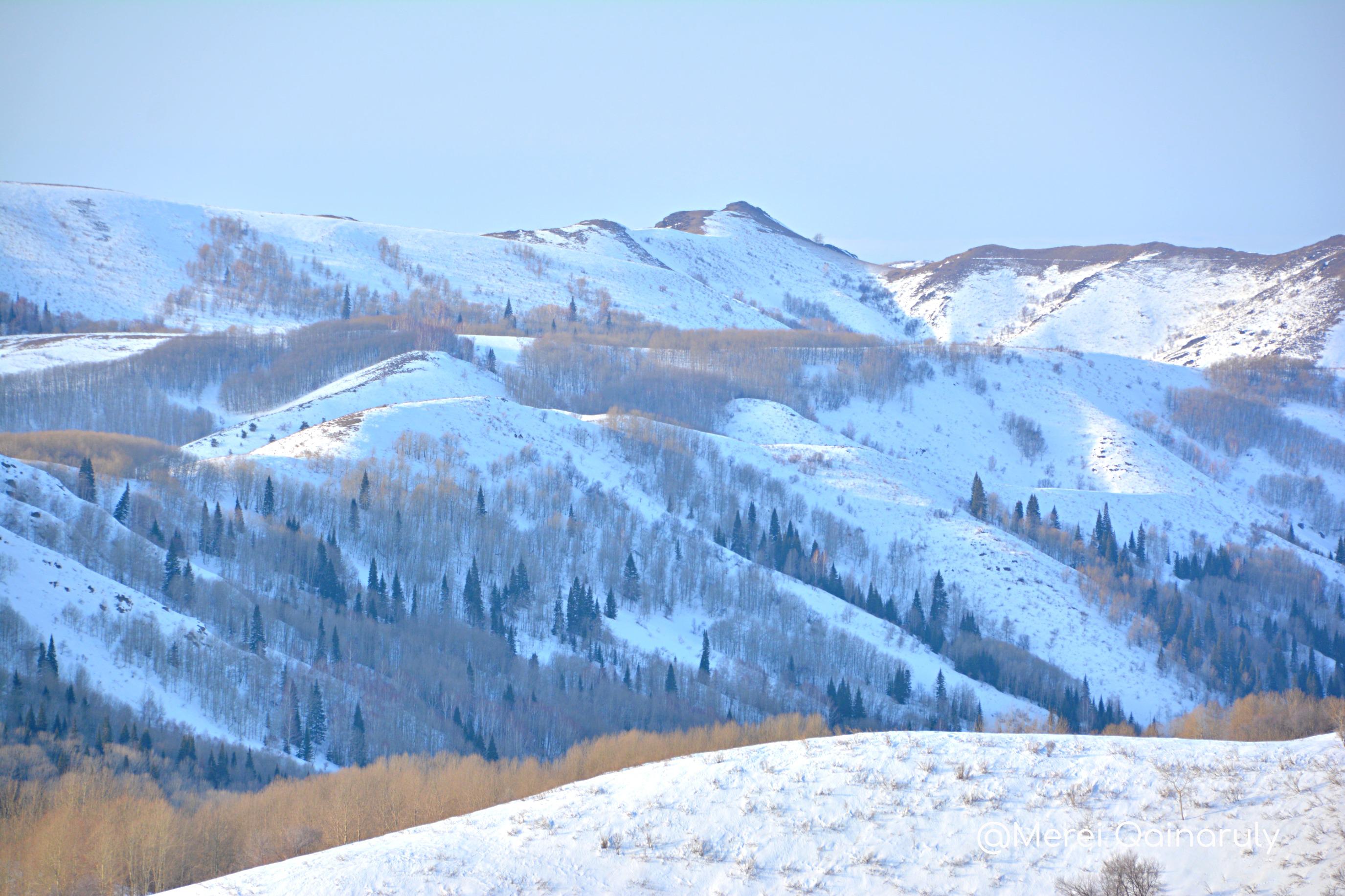 Риддерде жыл бойы жұмыс істейтін демалыс кешені ашылады