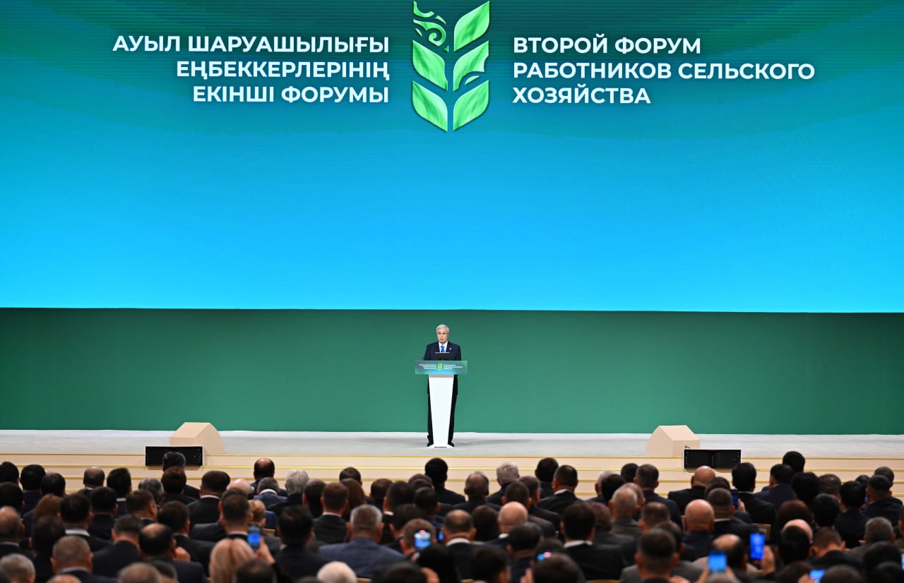 Президент: Біздің ведомстволар түрлі жоспарлар мен жол карталарын әзірлеумен әуестеніп кетті