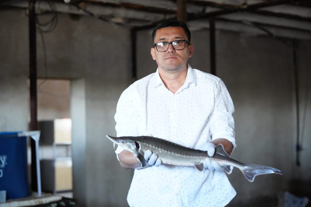 Бекіренің бабын тапқан