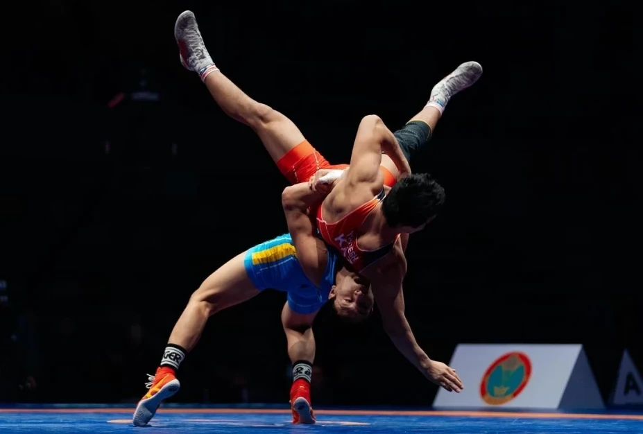 Күрес түрлері бойынша құрама қайта жасақталады