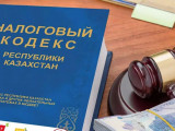 Үкімет жаңа Арнаулы салық режиміне арналған қызмет түрлерінің тізімін бекітті