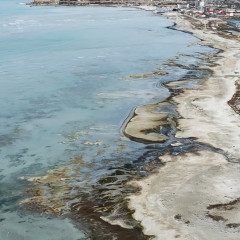 Айдын ортасында пайда болған арал: Каспий теңізінің екіге бөлінуінің бастапқы нышаны ма?