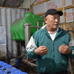 Ұқсатса, биоотын да табыс