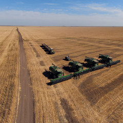 Егіннен мол өнім алды