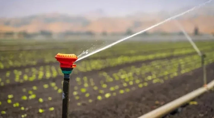 2026 жылы су тапшылығы қаупі бар: аграрларға ылғалды көп қажет ететін дақылдарды қысқарту ұсынылды