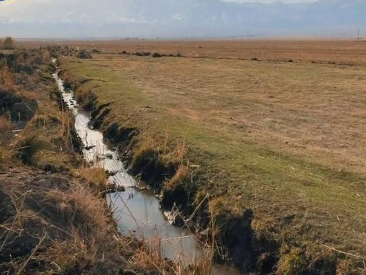 Жамбыл облысында 30 жыл тазаланбаған су арналары ретке келтіріліп жатыр