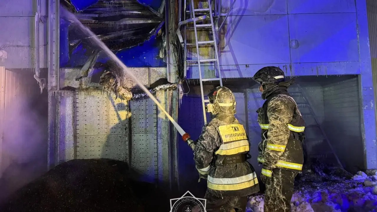 Петропавлда құтқарушылар 30 градус аязда кәсіпорындағы өртті сөндірді