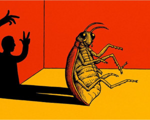 Әлеуметтік масылдықтың мәні неде?