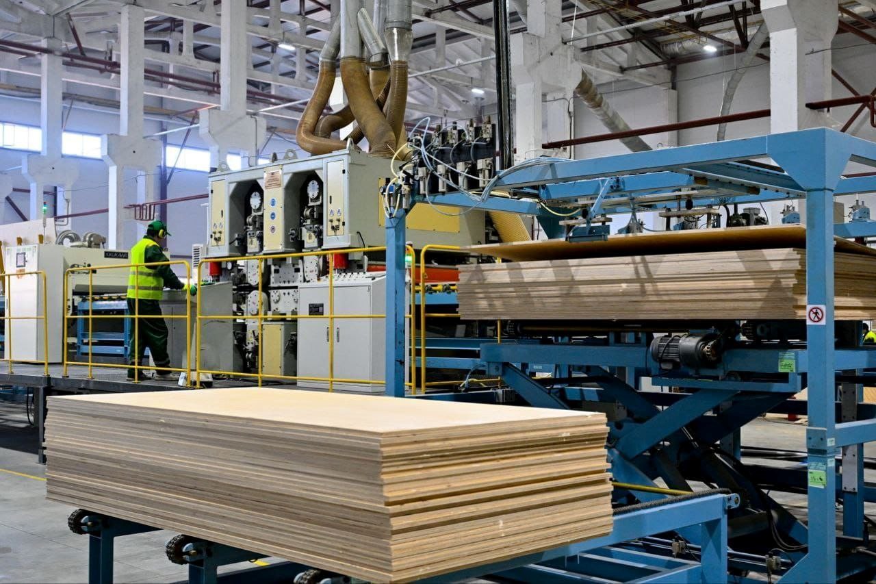 Арнайы аймақтың адымдары