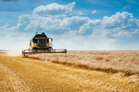 Ауыл шаруашылығына жеңілдікпен берілген несие көлемі 1 триллион теңгеден асты