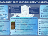 Ел игілігі үшін: 2025 жылы газ саласы қандай жетістіктерге қол жеткізді?