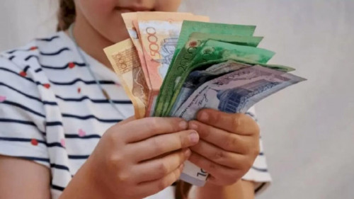 Екі жылда 28 млн доллар игерілді: Азаматтар Ұлттық қор қаражатын қалай жұмсап жатыр?