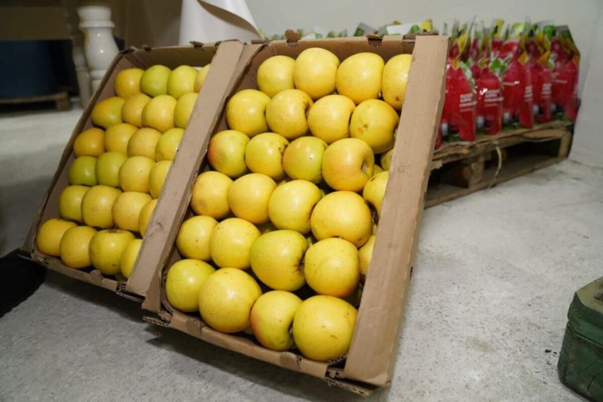 Түркістан облысында жеміс-жидек өңдейтін зауыт іске қосылды