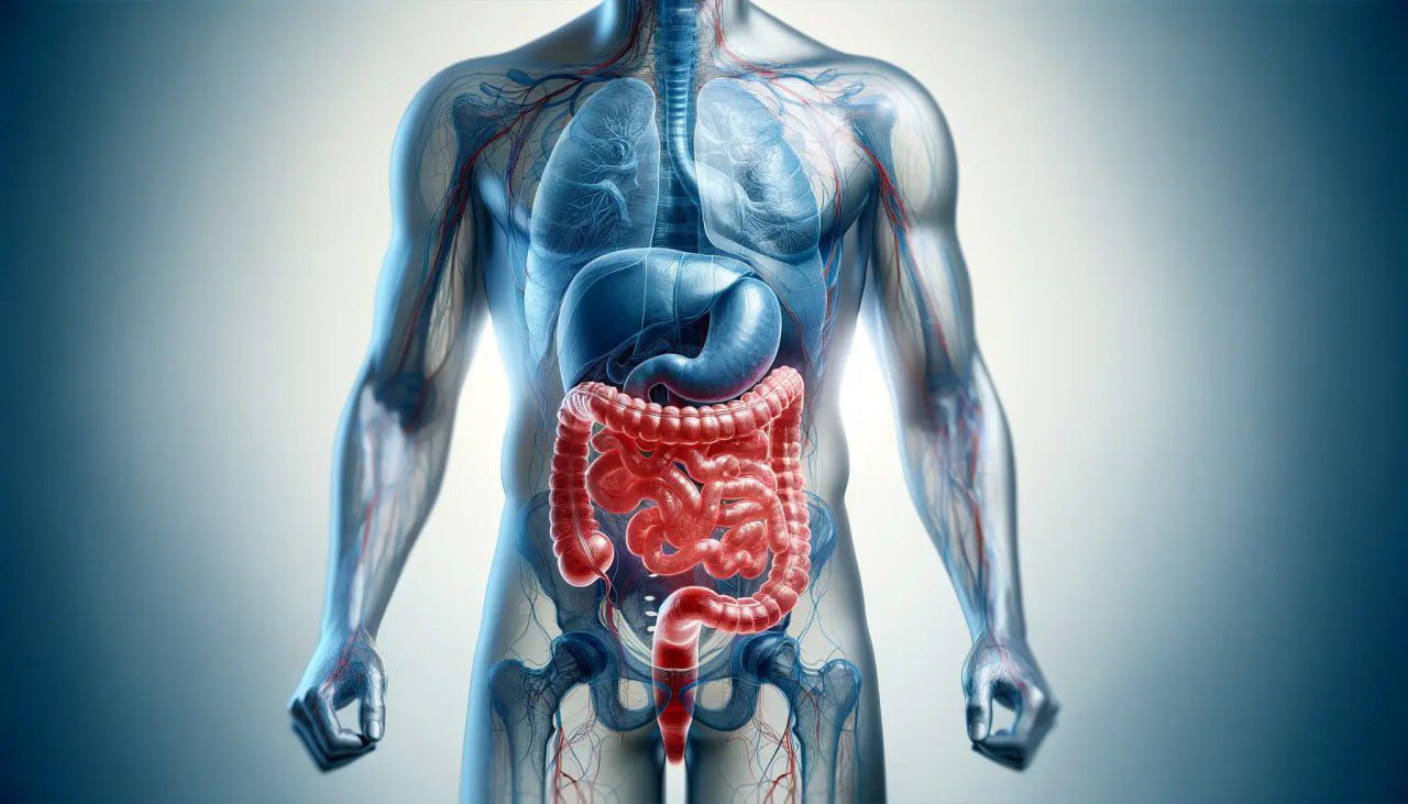 Ақылды жүйе