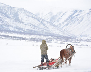 Оралхан арманы орындалып келеді