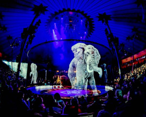 Жануарсыз цирк